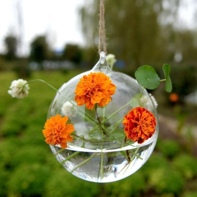 Hanging Glass Ball Terrarium Vase