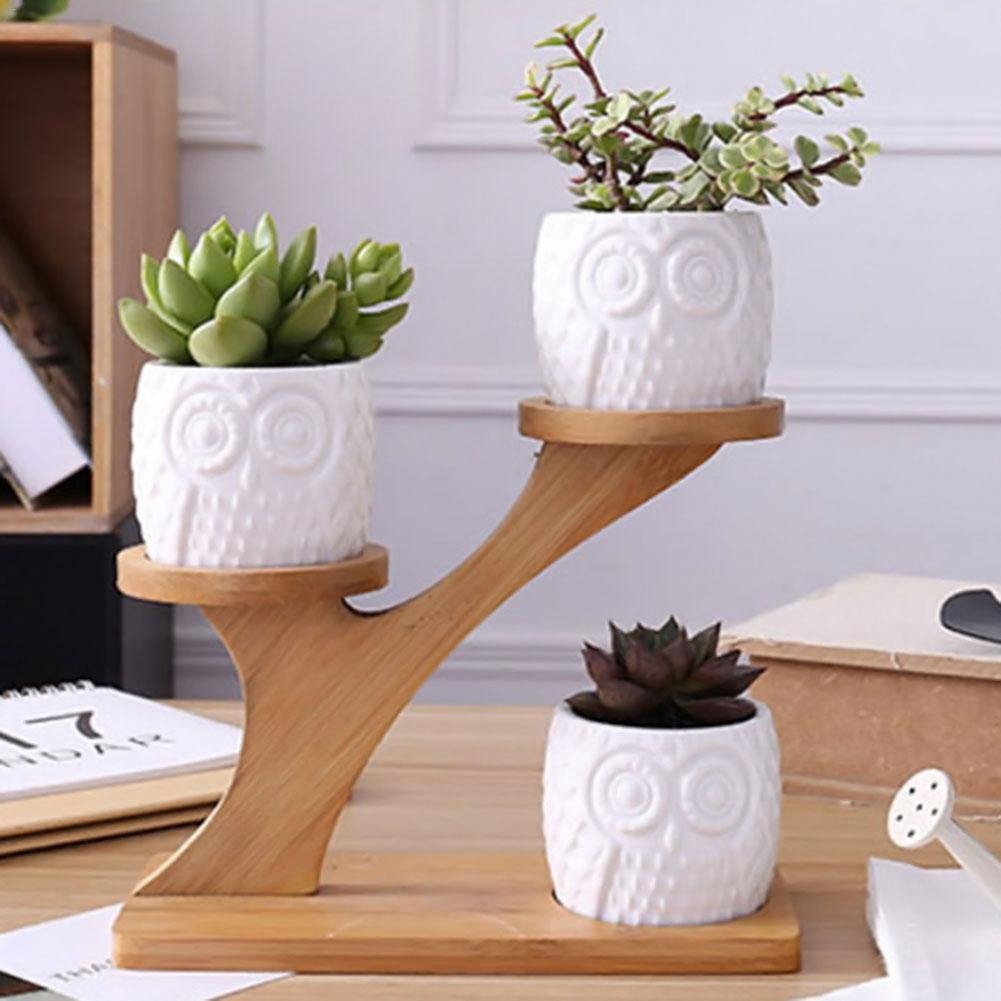 Tiered Ceramic Owl Succulent Planters with Bamboo Shelf